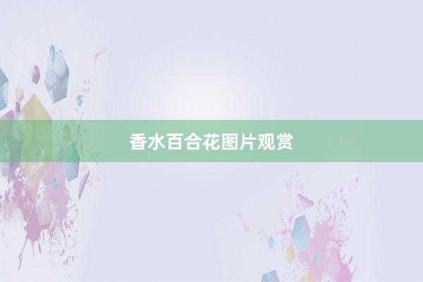 香水百合花图片观赏