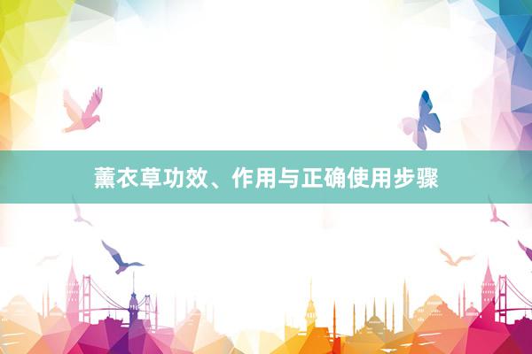 薰衣草功效、作用与正确使用步骤