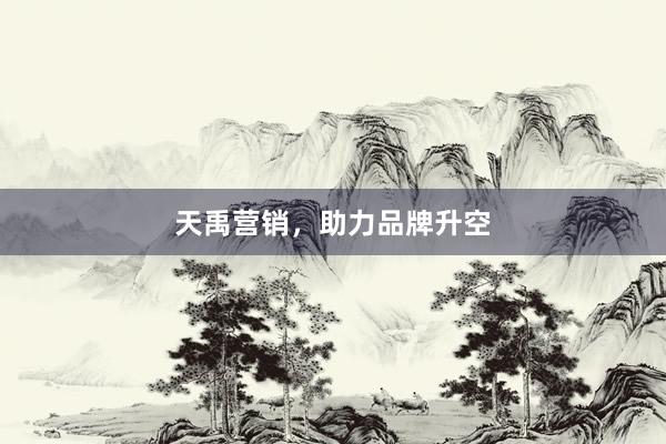 天禹营销，助力品牌升空